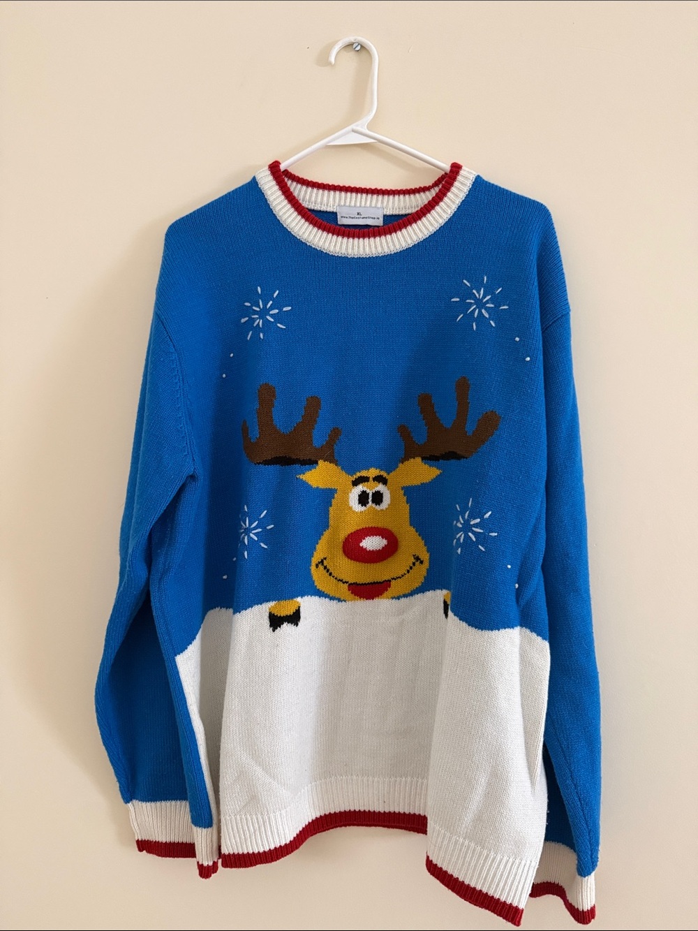 Blue & White Reindeer Holiday Sweater